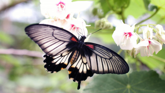 2 Practices That Can Transform Your Life