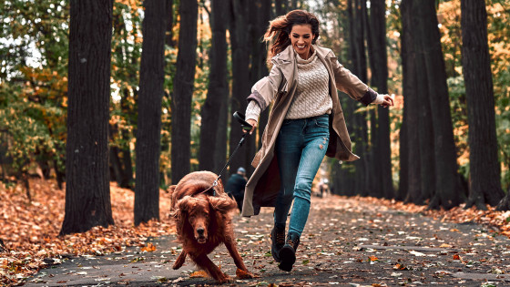 Is Pulling Your Dog's Super Power?