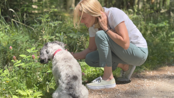 Are You Curious? Why Looking Beneath Your Dog’s Behaviour Matters