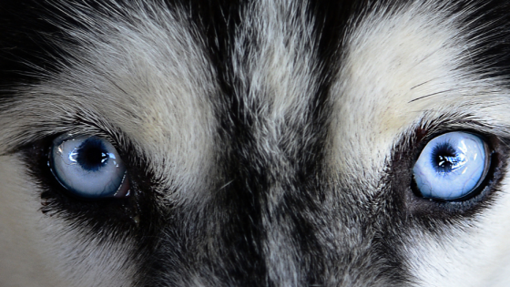 A Case Study of C’s Journey: Unravelling the Roots of His Struggles