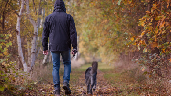 The Ultimate Guide to Loose Lead Walking