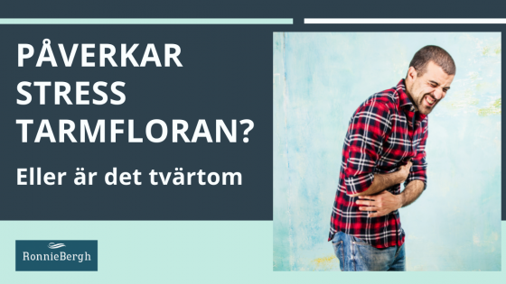 Magont för att du är stressad-eller stressad så du får ont i magen ? 