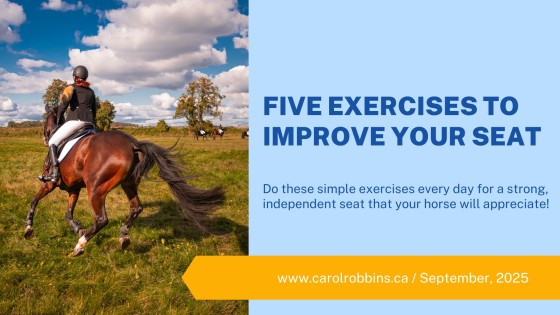 Five Exercises to Improve Your Seat