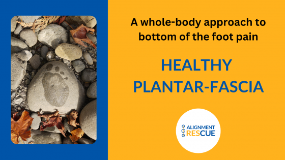 Learn About PlantarFasciitis and How to Have Healthy Plantar Fascia