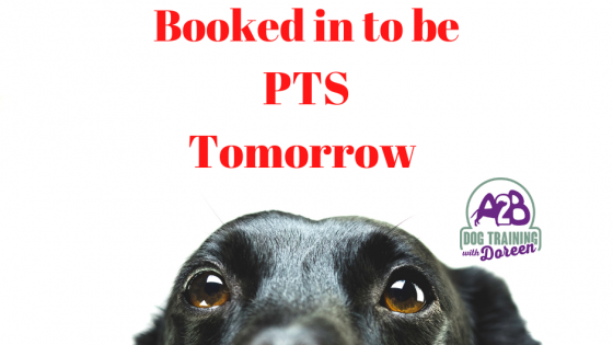 EMERGENCY PTS TOMORROW