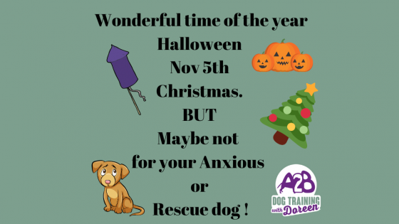 4 events that can affect your Romanian/Overseas or Anxious scared dogs.