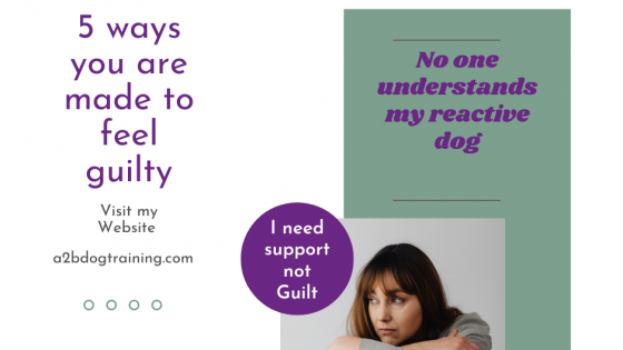 Reactivity ...5 ways you are made to feel GUILTY