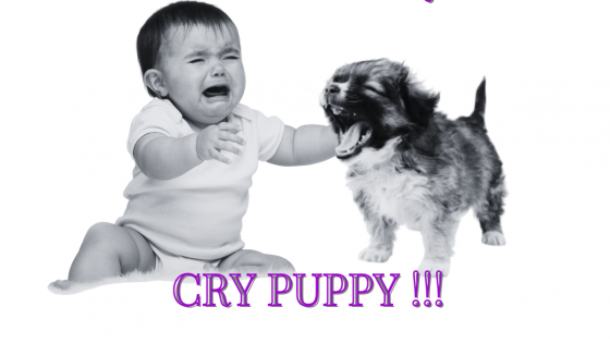 Cry BABY Cry PUPPY