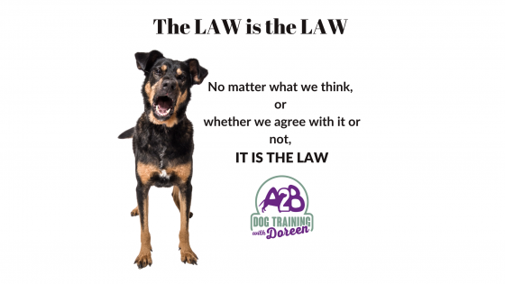 THE LAW IS THE LAW