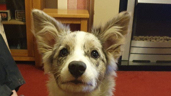 How time flies.  8 weeks to 20 week