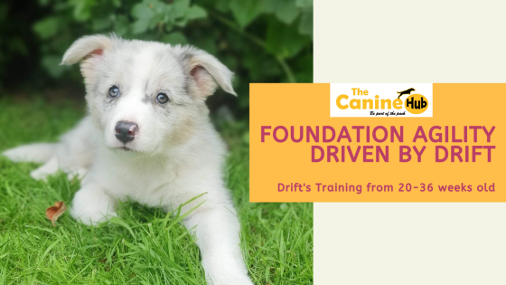 Meet Drift: The Star of "Foundation Agility: Driven by Drift