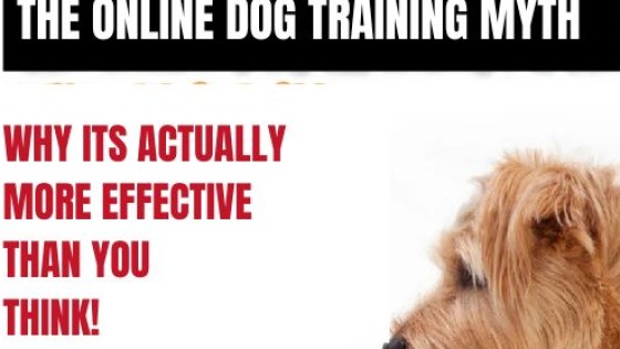 ONLINE TRAINING MYTH