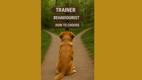 Trainer vs Behaviourist: How to Choose.