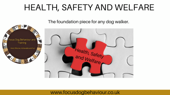 Safety Matters in Professional Dog Walking