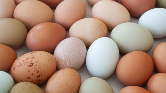 10 ways with eggs