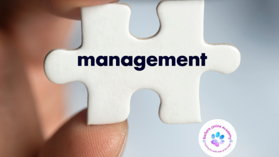Management for successful dog training 