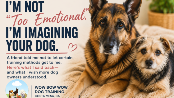 I’m Not “Too Emotional.” I’m Imagining Your Dog.