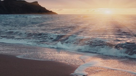 The Gap Between Knowing and Expression (And Why It Comes Back to the Heart)