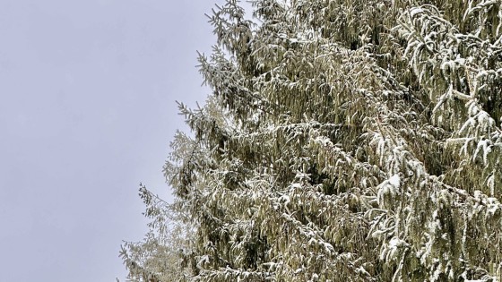 Taking Yoga off the Mat