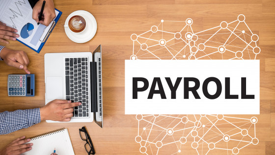 A Detailed Introduction on Workday Payroll Management System & Software Solutions.