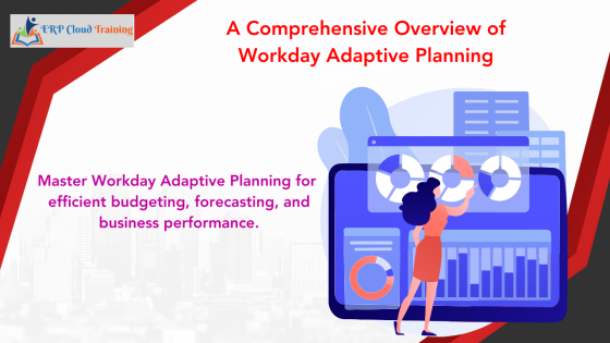What Is Workday Adaptive Planning? Everything You Need