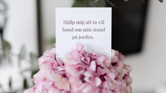 Veckans vana - Lita på att allting är precis som det ska vara