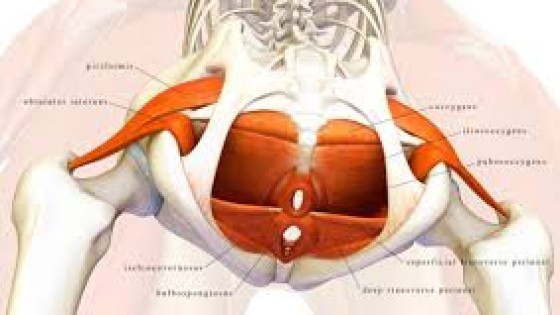 När styrka blir en fälla - och varför avslappning kan vara lösningen - bäckenträning för män