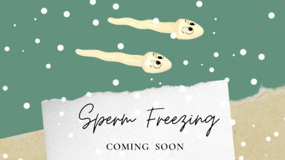 Sperm Freezing: Shedding Light on the Other Half of the Equation