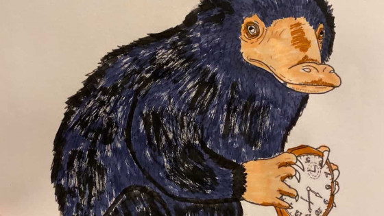 Why I no longer experiment with the morning rhythm!