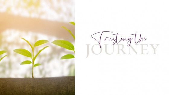 Trusting the Journey 