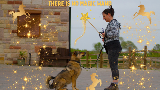 There is No Magic Wand, But there IS a Magical Process