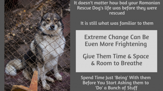 Extreme Change Can Be Terrifying