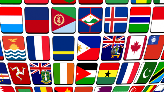 WHAT'S YOUR CULTURAL PARADIGM?