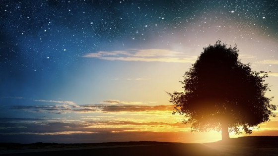 Fufilling Your Soul's Purpose