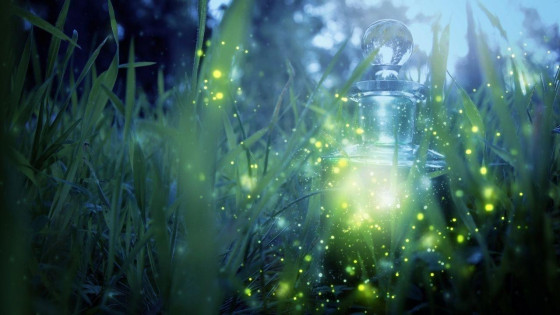 A Fairy on Being Happy