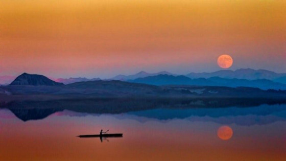 Quiet Gratefulness...