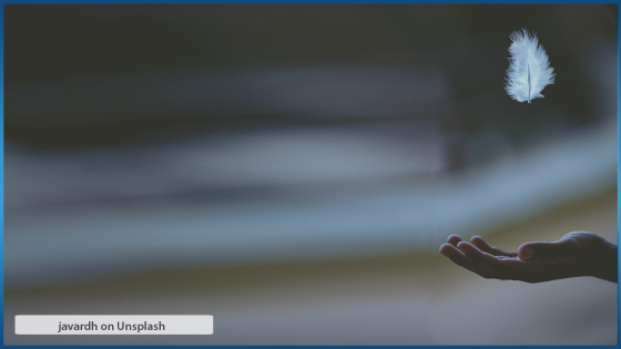 Today is a day for giving thanks and the gift of gratitude (#105)