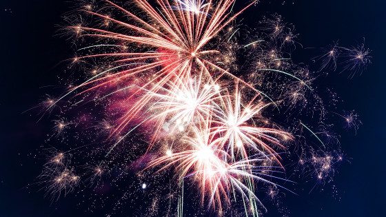 7 ways to keep your dog safe during firework season