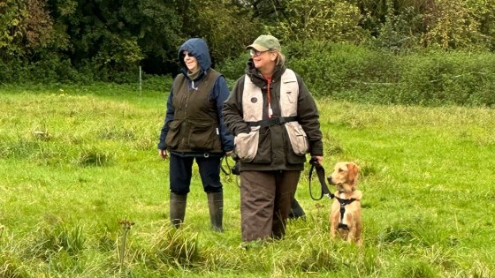 Cold Game Training Success with Griff at Develop Your Dog