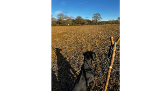 A Day in the Field: Shoot Day Reflections