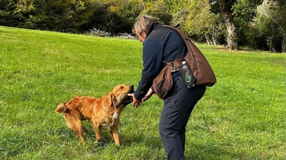 More Training Updates with Griff!
