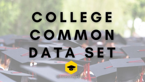 What is the College Common Data Set CCDS