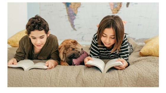 School Holidays, Sunny Days and Dogs: Why Bite Incidents Can Increase