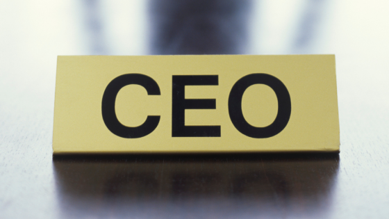 How to be an effective CEO?