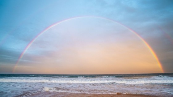 Patience in Your Process