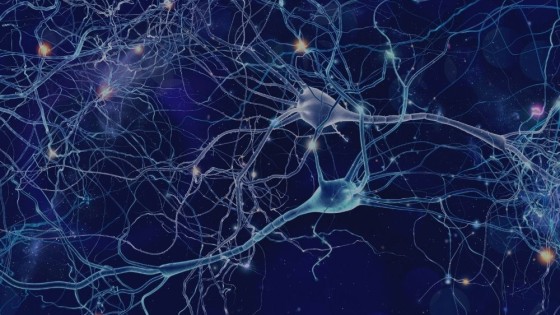 “The Essence of Healing” Interview