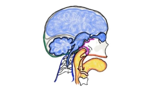 Stress Relief Strategies