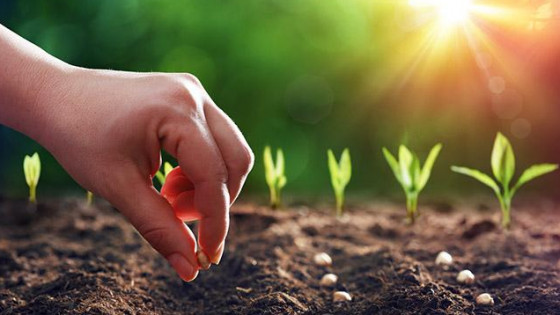 Enhancing your Joy and Happiness for the New Year