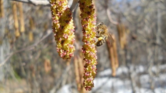 Another Chance at Success