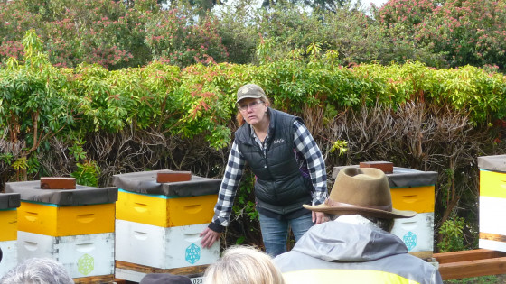 Your Journey In Our Program